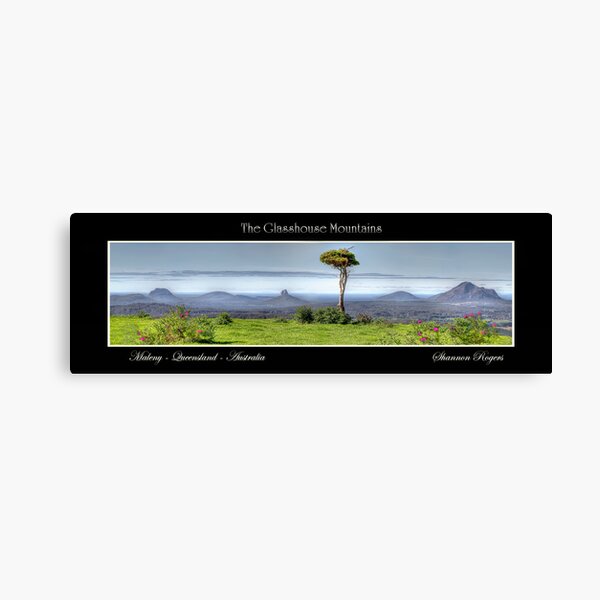 The Glasshouse Mountains Canvas Print