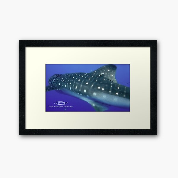 Item preview, Done Dorsal Whaleshark designed and sold by NICK COBURN PHILLIPS.