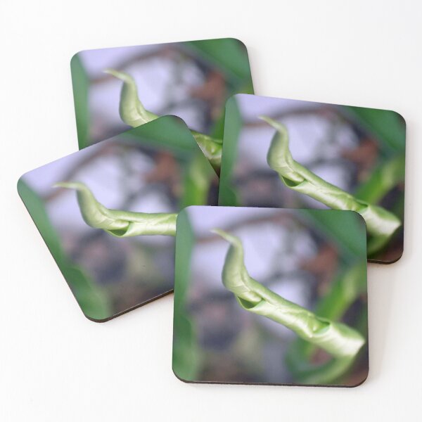 Item preview, ©NS Spring Time IA designed and sold by OmarHernandez.