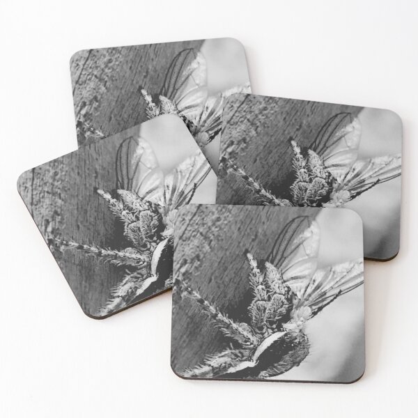 Item preview, ©NS A Spider Life XVII Breakfast IA Monochromatic designed and sold by OmarHernandez.