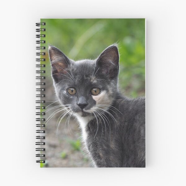 Item preview, Tortoiseshell Cat designed and sold by Strawflower Oasis.