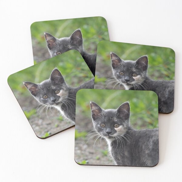 Item preview, Tortoiseshell Cat designed and sold by Strawflower Oasis.