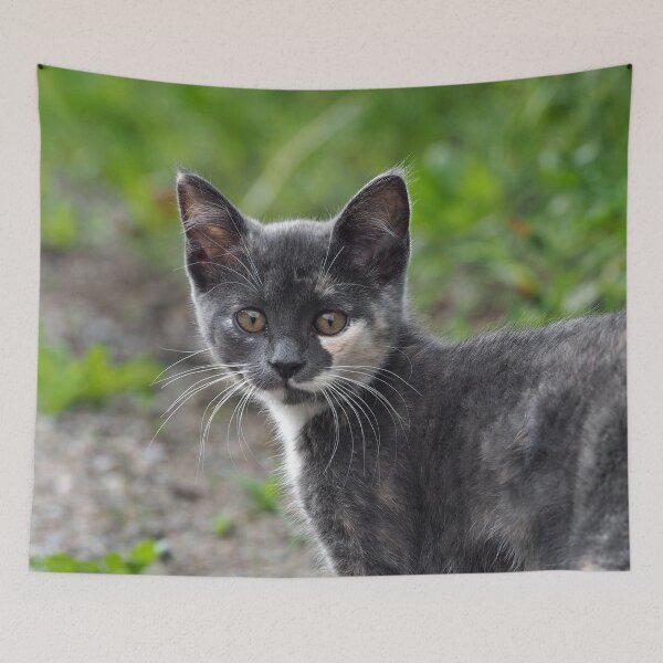 Item preview, Tortoiseshell Cat designed and sold by Strawflower Oasis.