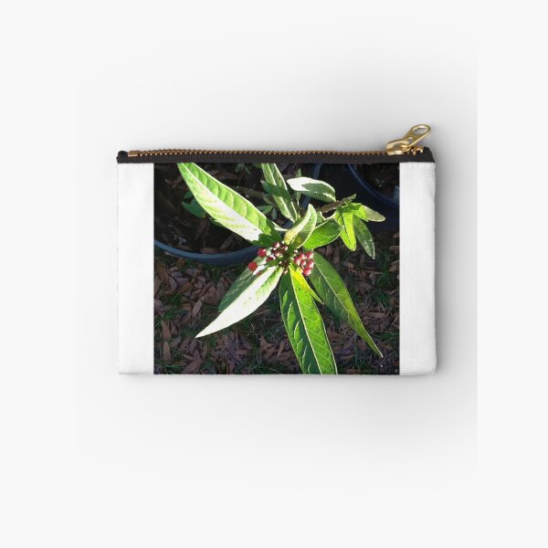 Item preview, Milkweed designed and sold by Ellen Turner.