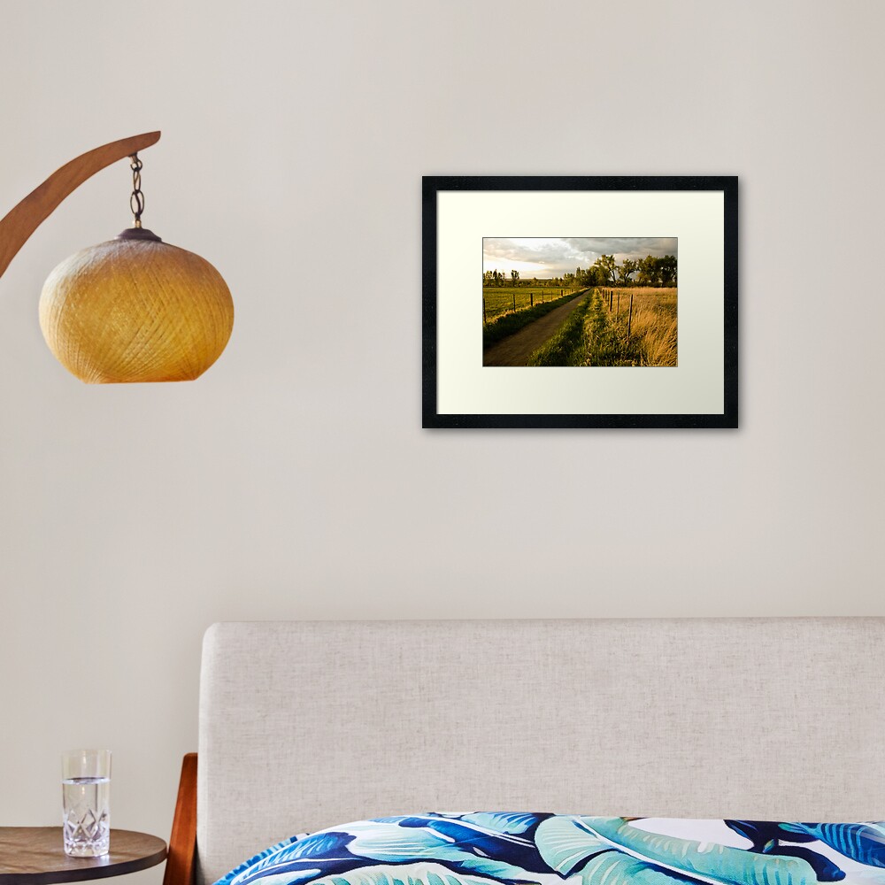 A Walk In The Park Framed Art Print