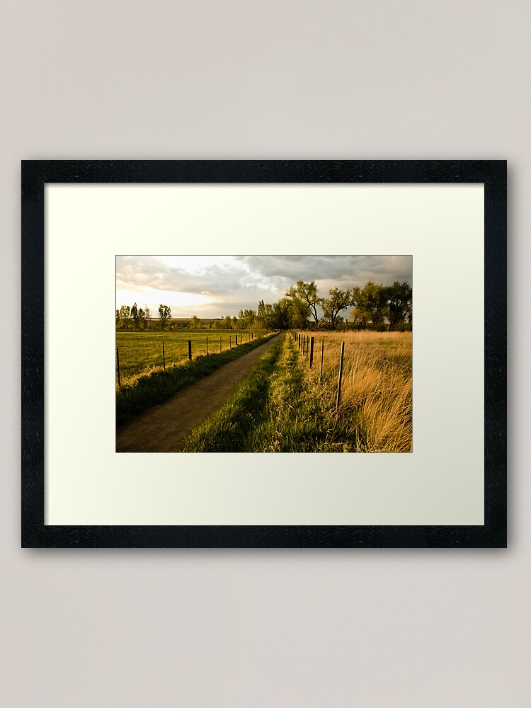 Alternate view of A Walk In The Park Framed Art Print