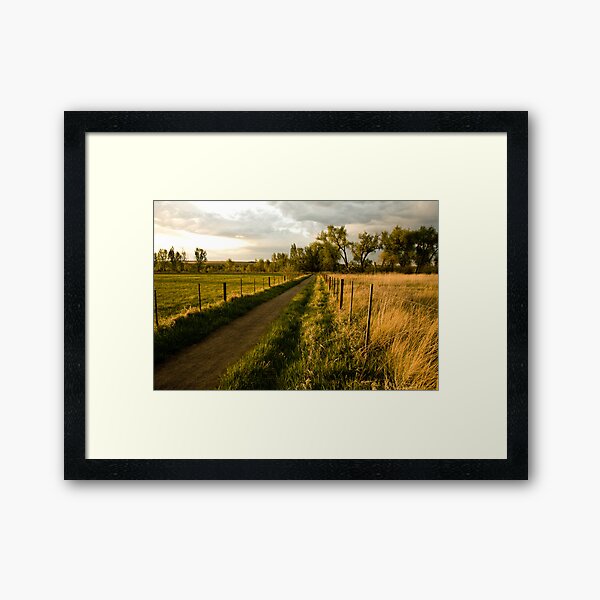 A Walk In The Park Framed Art Print