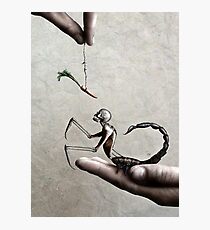 My Pet Photographic Print