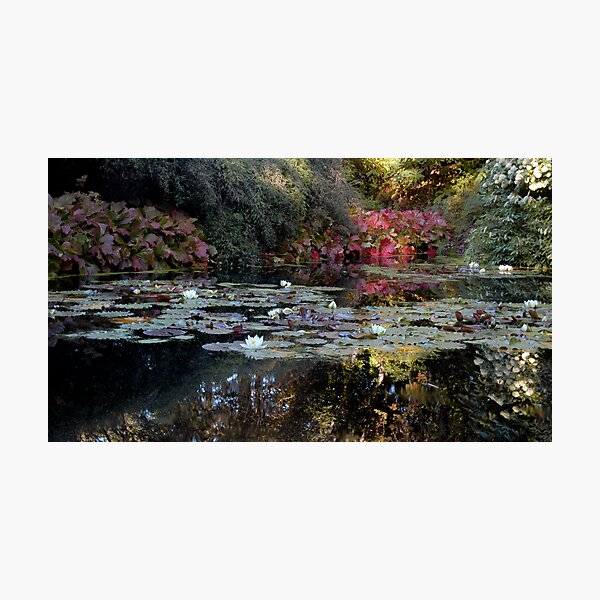 Item preview, Inverewe Garden Pond designed and sold by Smaxi.