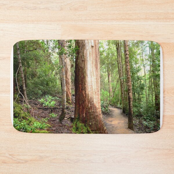 Item preview, A Track through the Wilderness - Tahune Rainforest designed and sold by imaginethis.