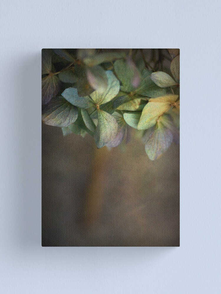 Alternate view of Hydrangea Canvas Print