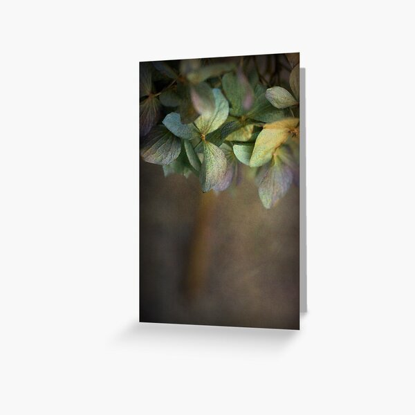 Hydrangea Greeting Card