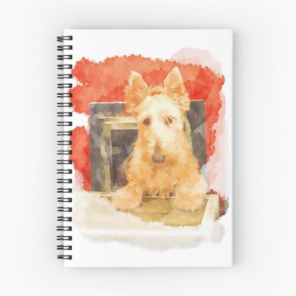 Item preview, Whos That Dog In The Window? designed and sold by IMAGETAKERS.