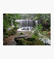 Somersby Treasure 3///// 6-11-10 Photographic Print