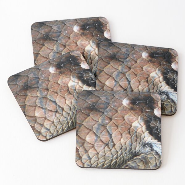 Item preview, ©NS Reptile Pattern IIA designed and sold by OmarHernandez.