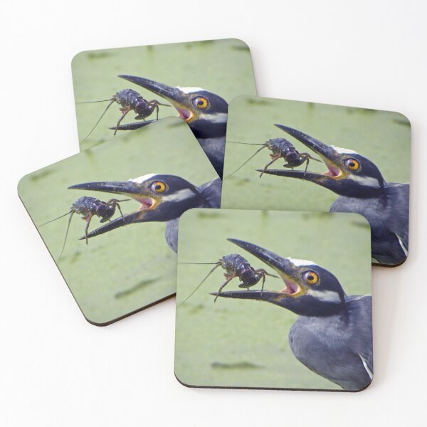 Item preview, Yellow-Crowned Night-Heron and Crawfish  designed and sold by Savannah Gibbs.