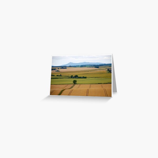 Item preview, Ripening Harvest designed and sold by R John Hughes.