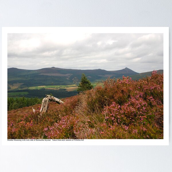Item preview, Spot The Grouse designed and sold by R John Hughes.