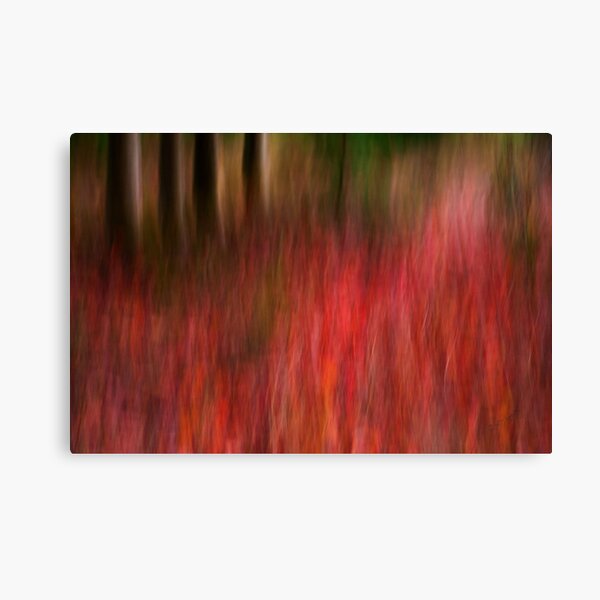 Autumn has FALLen Canvas Print