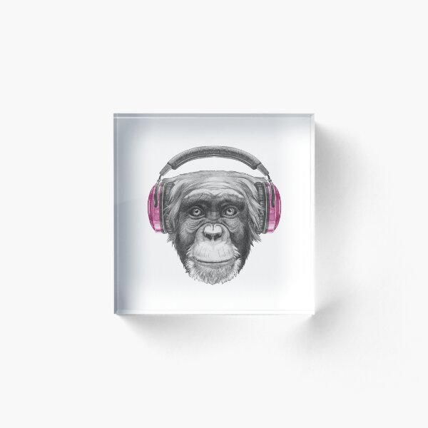 Monkey Acrylic Block