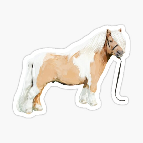 Poneys Gifts Merchandise Redbubble