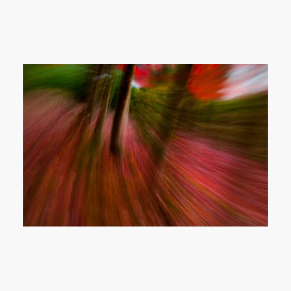 FALLing at Full Speed Ahead Photographic Print