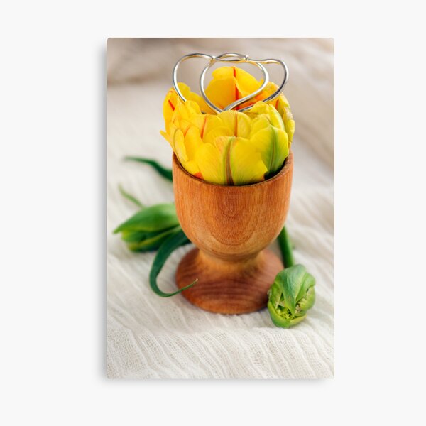 The Gift of Spring and Love Canvas Print