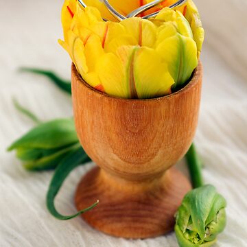 Artwork thumbnail, The Gift of Spring and Love by SpicieFoodie