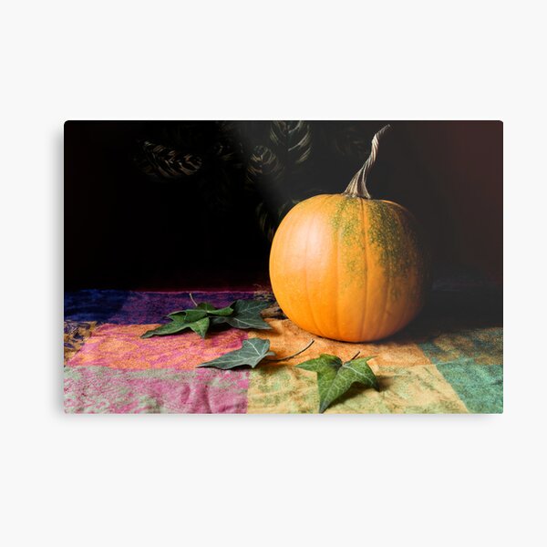 The Beauty of Autumn Metal Print