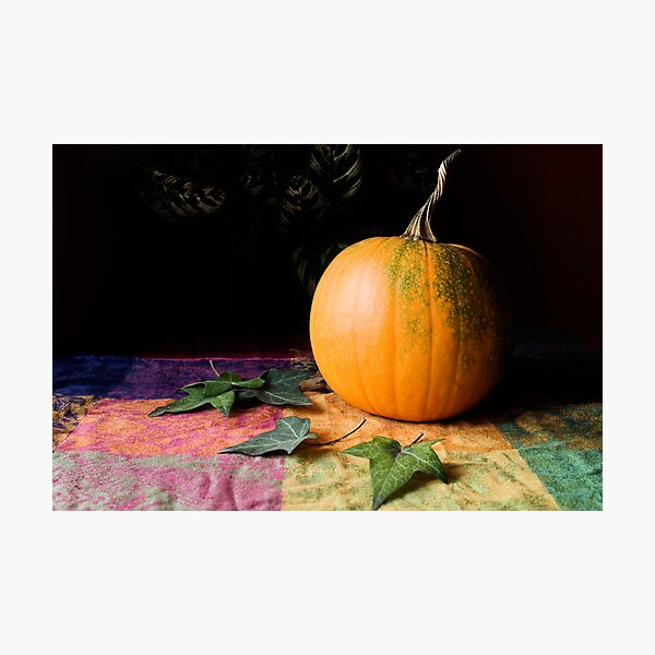 The Beauty of Autumn Photographic Print