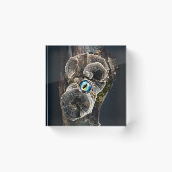 Item preview, Creative ring with dragon eye on nature background designed and sold by dariazu.