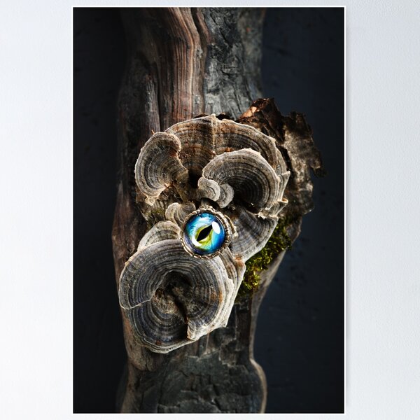 Item preview, Creative ring with dragon eye on nature background designed and sold by dariazu.