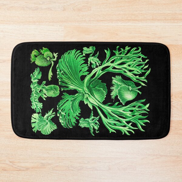 Item preview, Plate 52. Platycerium grande; the staghorn, or elkhorn, fern designed and sold by Squirrox.