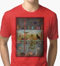 EUCLIDIAN SHELVES Tri-blend T-Shirt