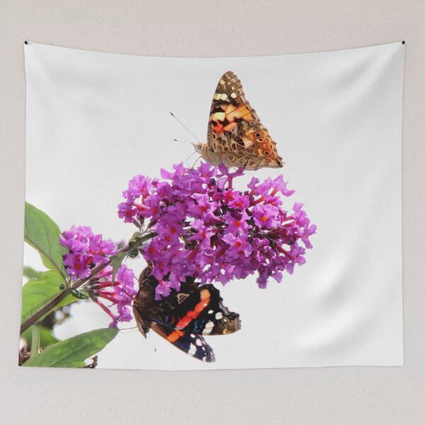 Item preview, Painted Lady & Red Admiral Butterflies designed and sold by AnnDixon.