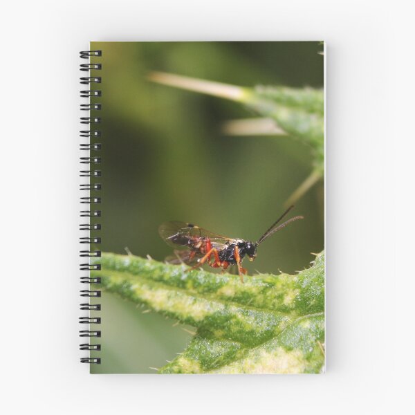 Item preview, Parasitic Wasp designed and sold by GreyFeatherPhot.