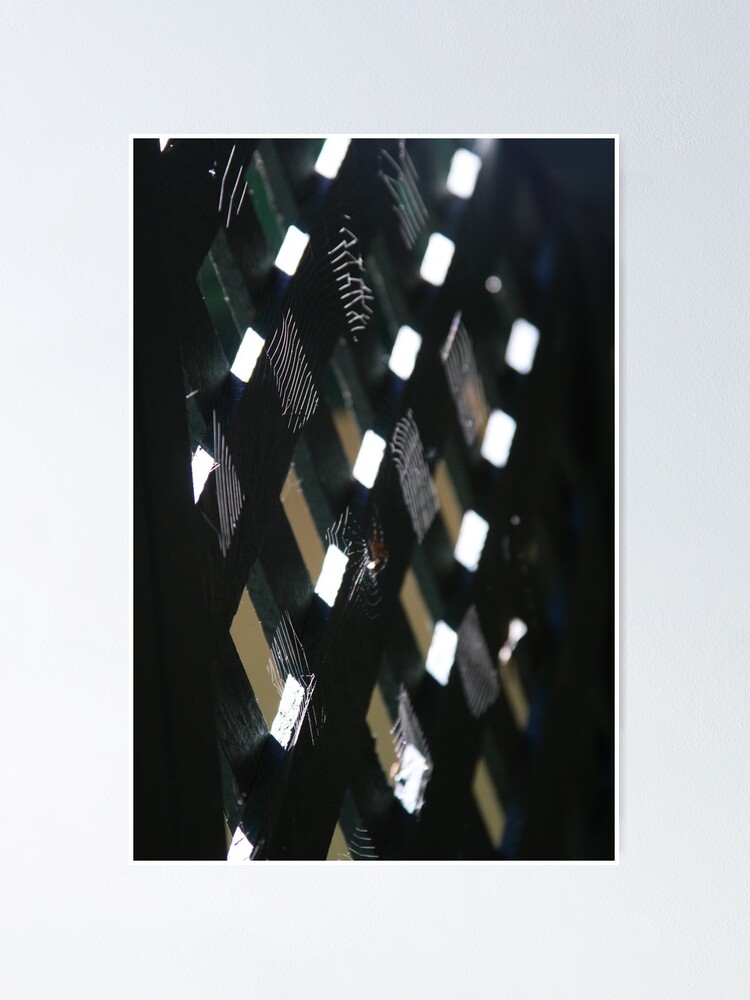 Thumbnail 1 of 3, Poster, Checkerboard Web designed and sold by AbleApril.