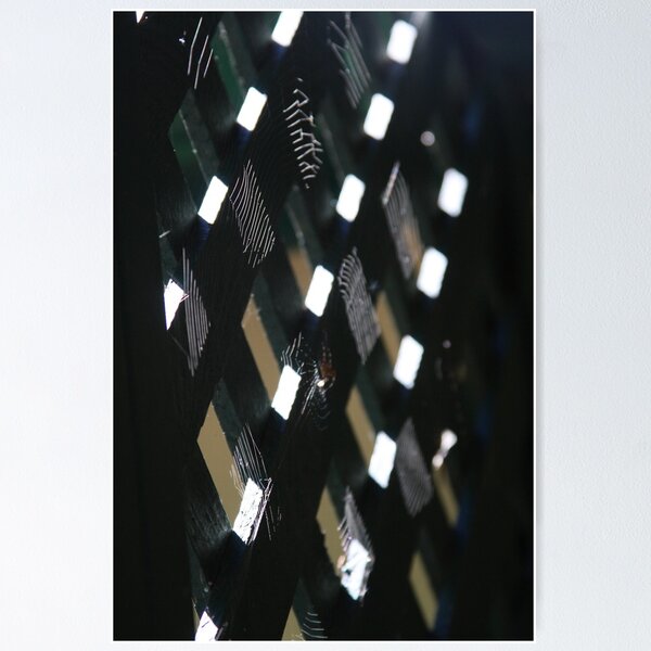 Item preview, Checkerboard Web designed and sold by AbleApril.