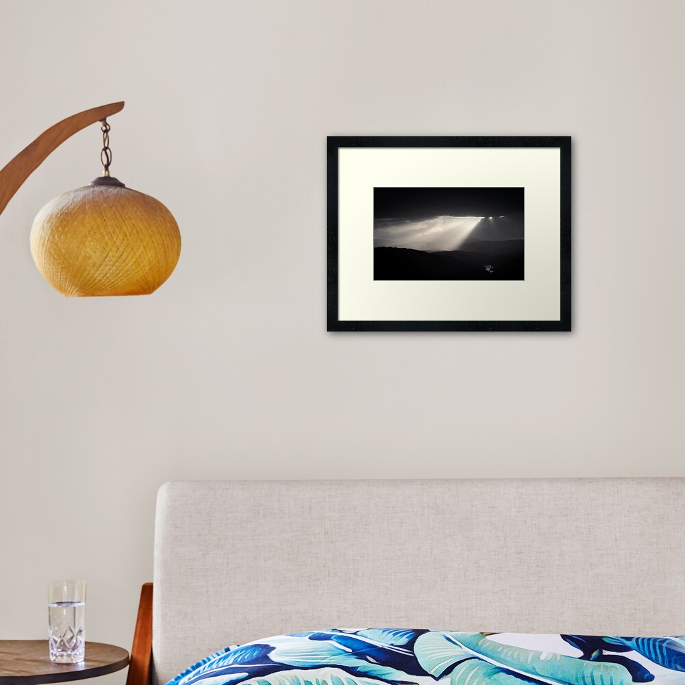 Morning Gold Framed Art Print