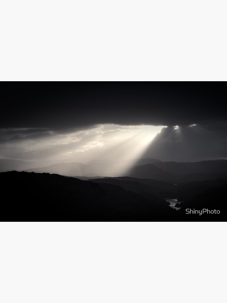 Morning Gold by ShinyPhoto