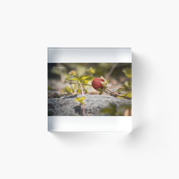 The lonely strawberry Acrylic Block