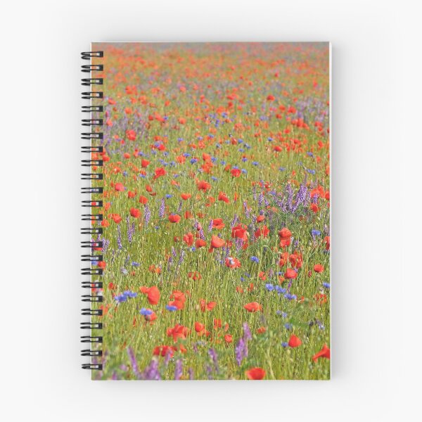 Item preview, Prado de la flor-5 designed and sold by hapfoto.