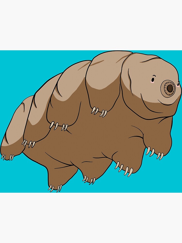 "Tardigrade Water Bear Drawing" Art Print by Teeming Redbubble