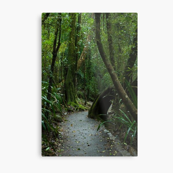 Item preview, Walkway at Best of All Lookout - Springbrook N.P designed and sold by Jordan Miscamble.