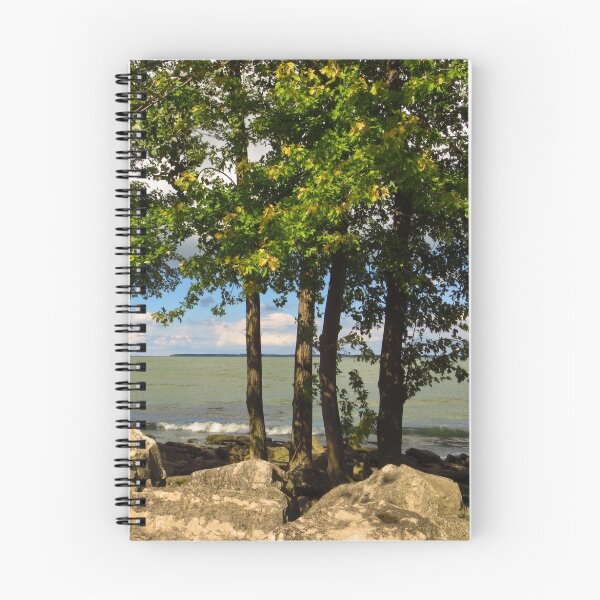 Item preview, Lake ErieThrough The Trees designed and sold by dahlymama.
