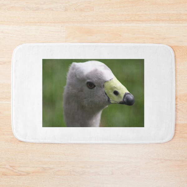 Item preview, Cape Barren Goose designed and sold by sarah ward.