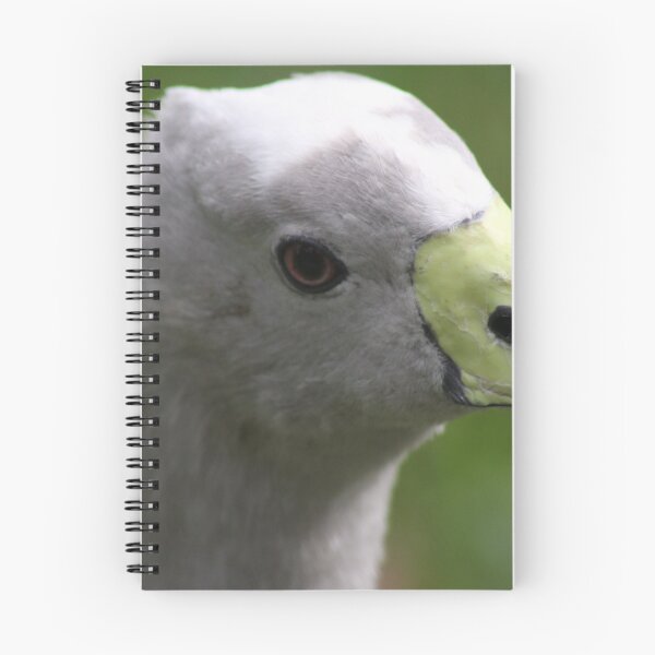 Item preview, Cape Barren Goose designed and sold by sarah ward.