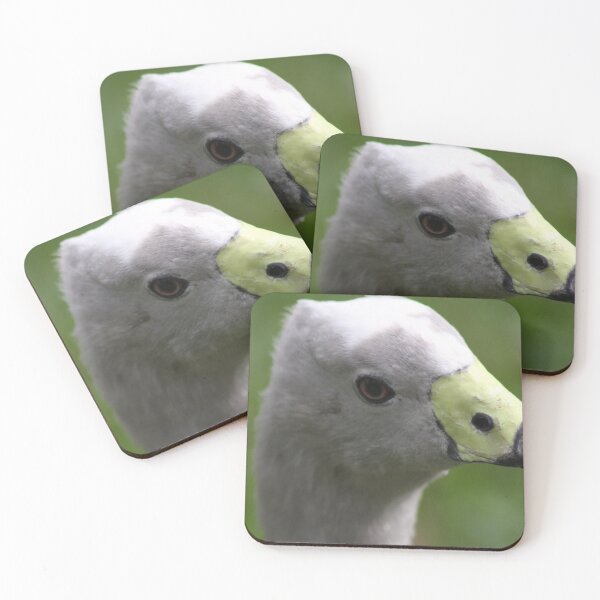 Item preview, Cape Barren Goose designed and sold by sarah ward.