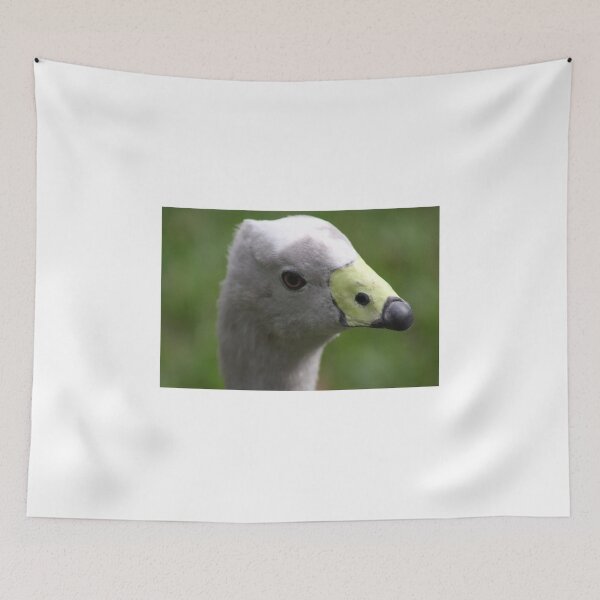 Item preview, Cape Barren Goose designed and sold by sarah ward.