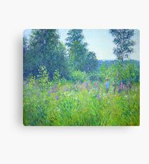 Alex in the field Canvas Print